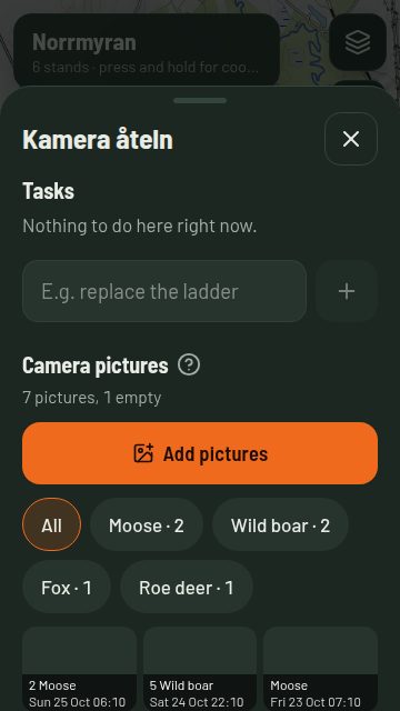 Trail camera pictures sorted by species