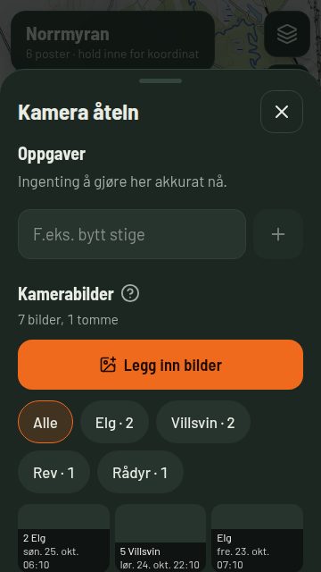 Viltkamerabilder sortert etter art