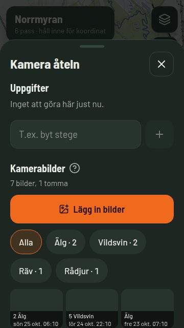 Åtelkamerabilder sorterade efter art